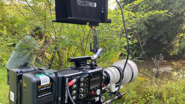 Fkex4k with 400mm nature shoot