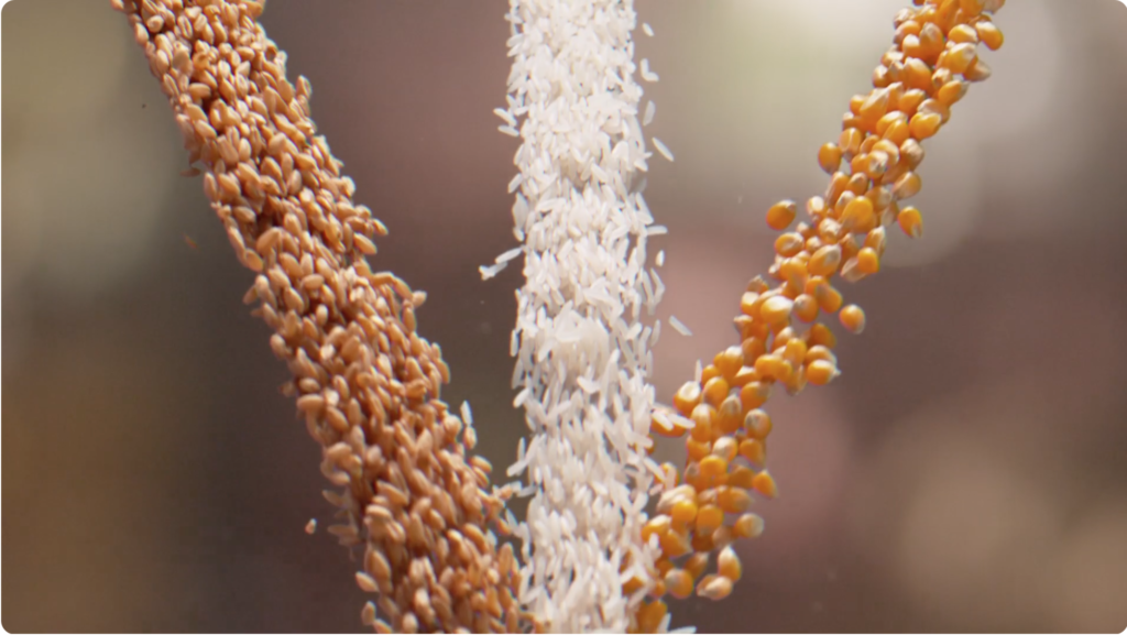Close-up of grains falling in slow motion against a dark background
