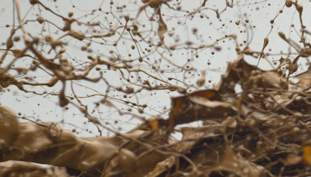 Chocolate and small particles flying through the air in slow motion